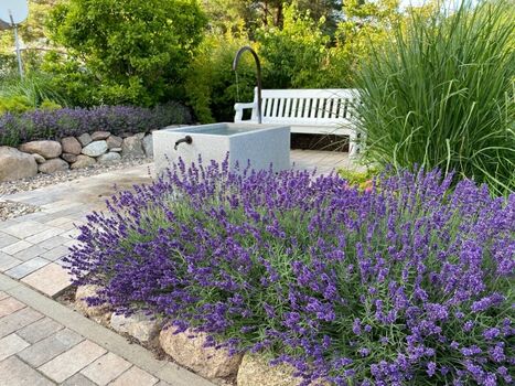 Bank mit Brunnen auf dem Grundstück