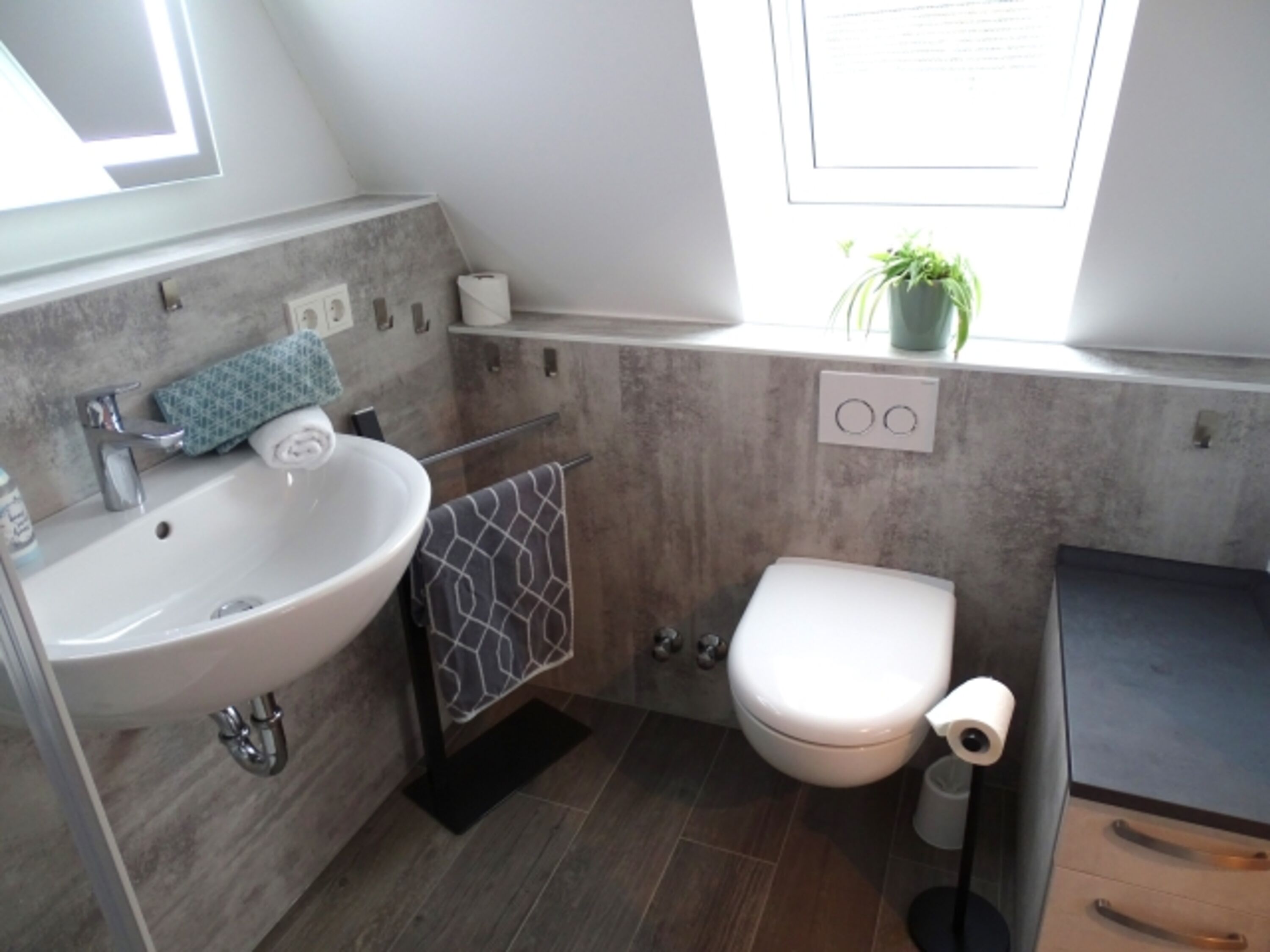 Bild 15