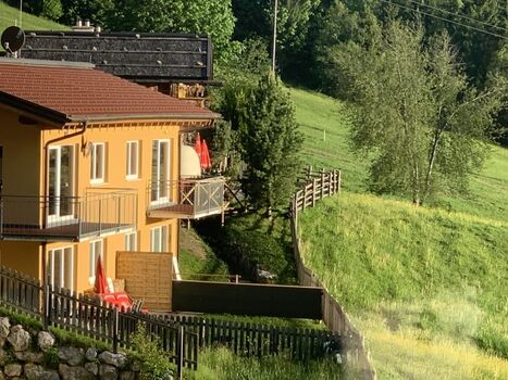 freier Blick in die Natur