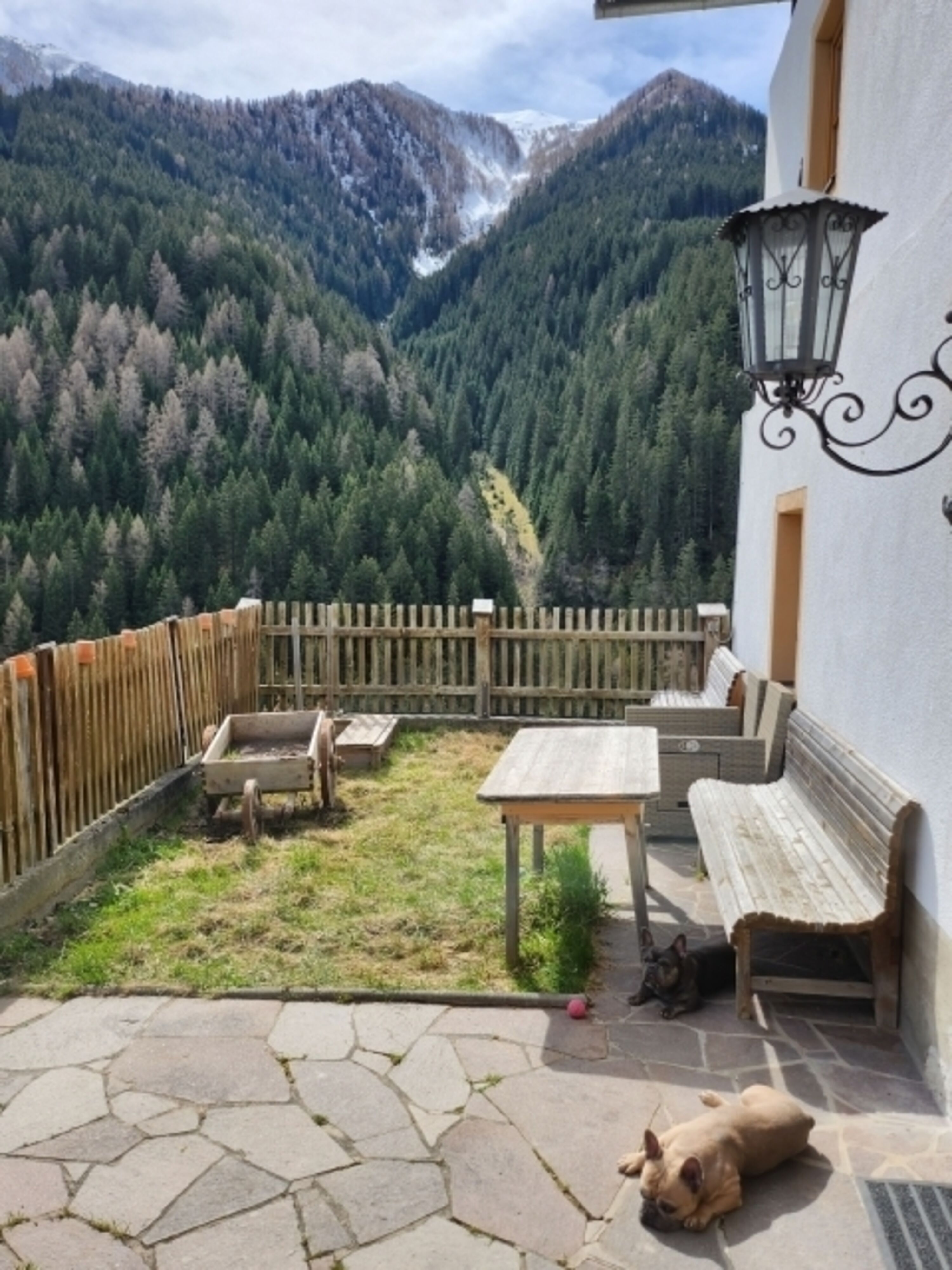 Bild 5