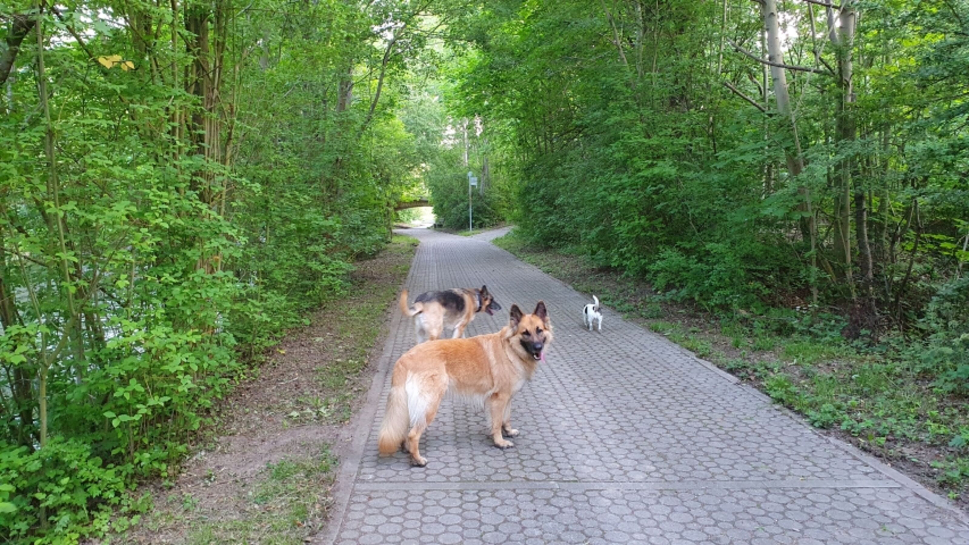 Okerpromenade