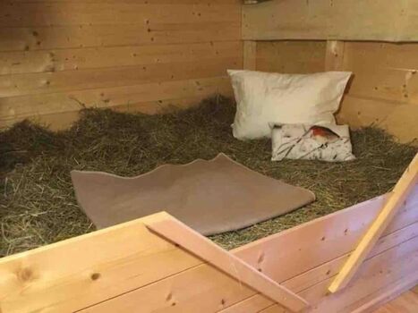 Das Heubett im Tennenlager, Schlafen mit  Schlafsäcken im duftenden Heu