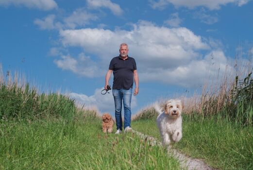 Mit Hund laufen ist hier super