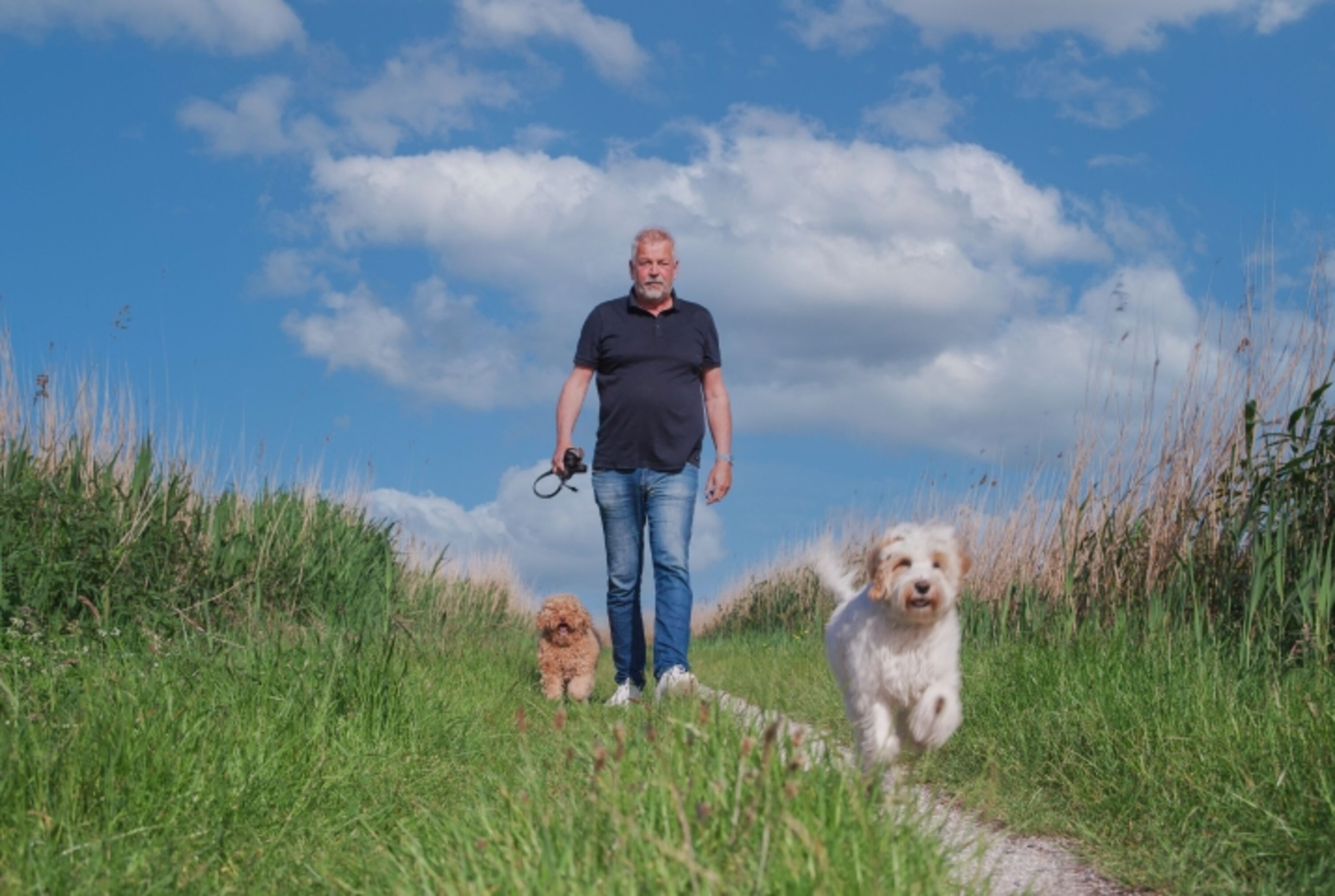 Mit Hund laufen ist hier super