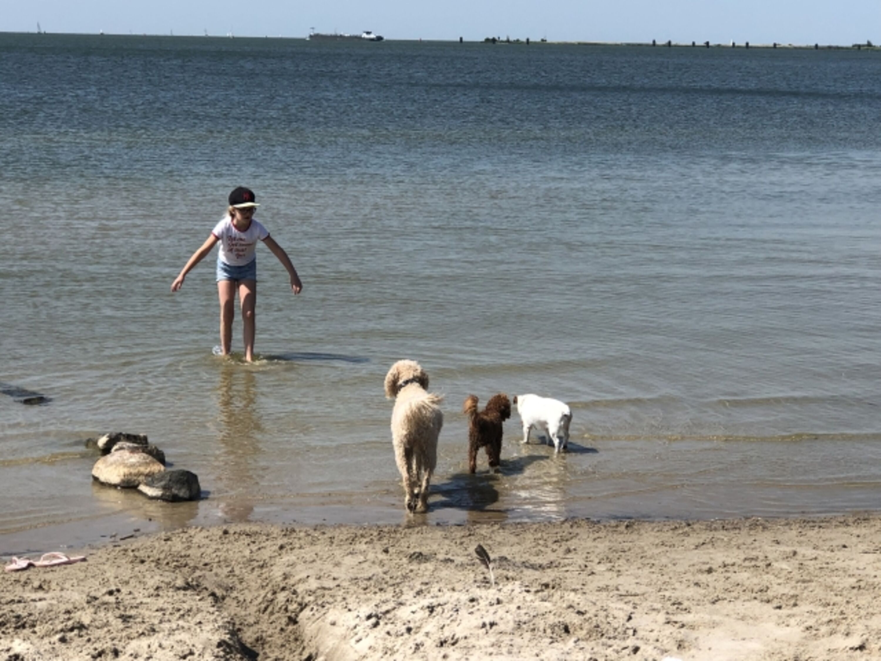 Hundestrand