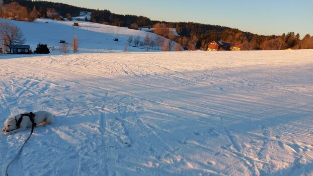 Sonnenuntergang mit Blick auf unsere Wohnung