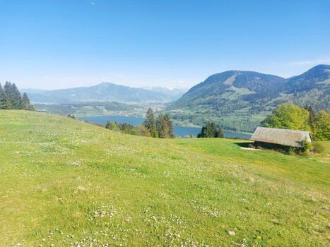 Alpsee gleich ums Eck