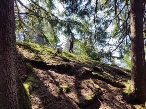 Unsere Fellnase genießt die Natur