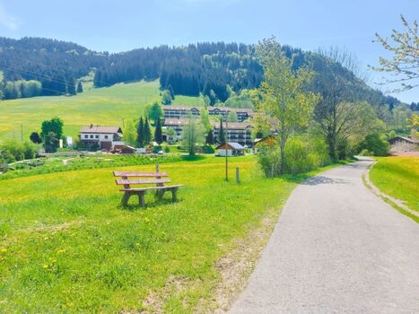 Wanderungen direkt von der Wohnung