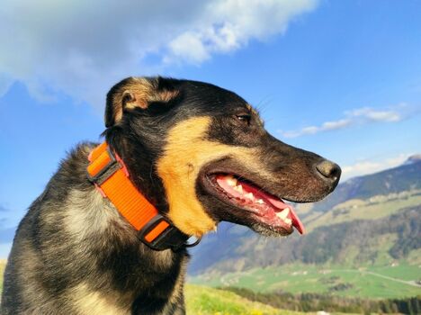 auch ich genieße die Auszeit