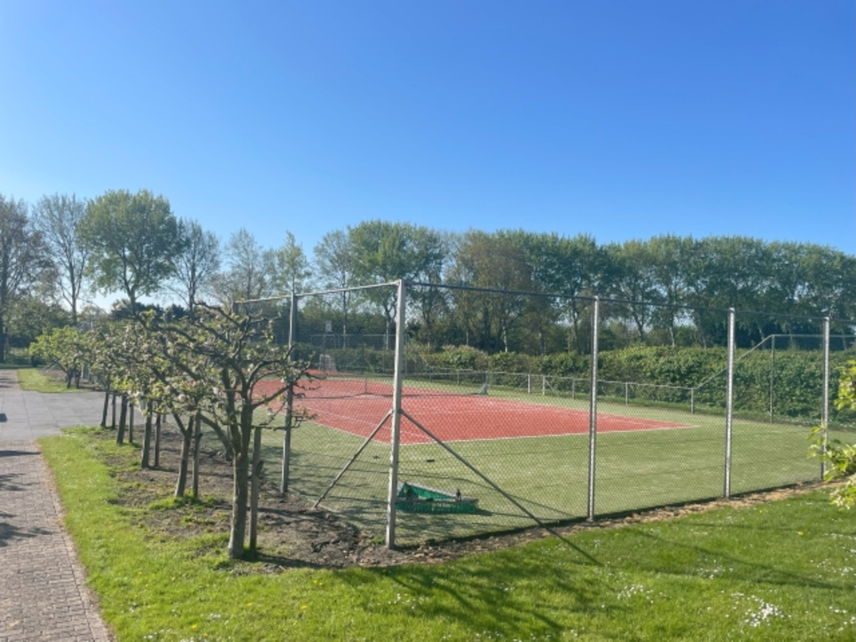 Bild 12