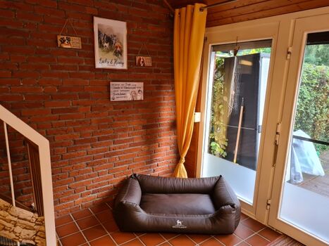 XXL Hundebett