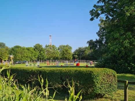 Blick zum Reitbereich vom Garten aus