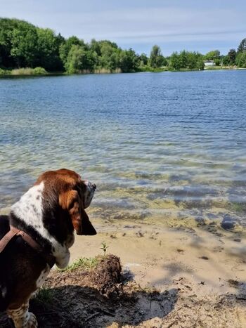 Henry Tannenhausen Badesee