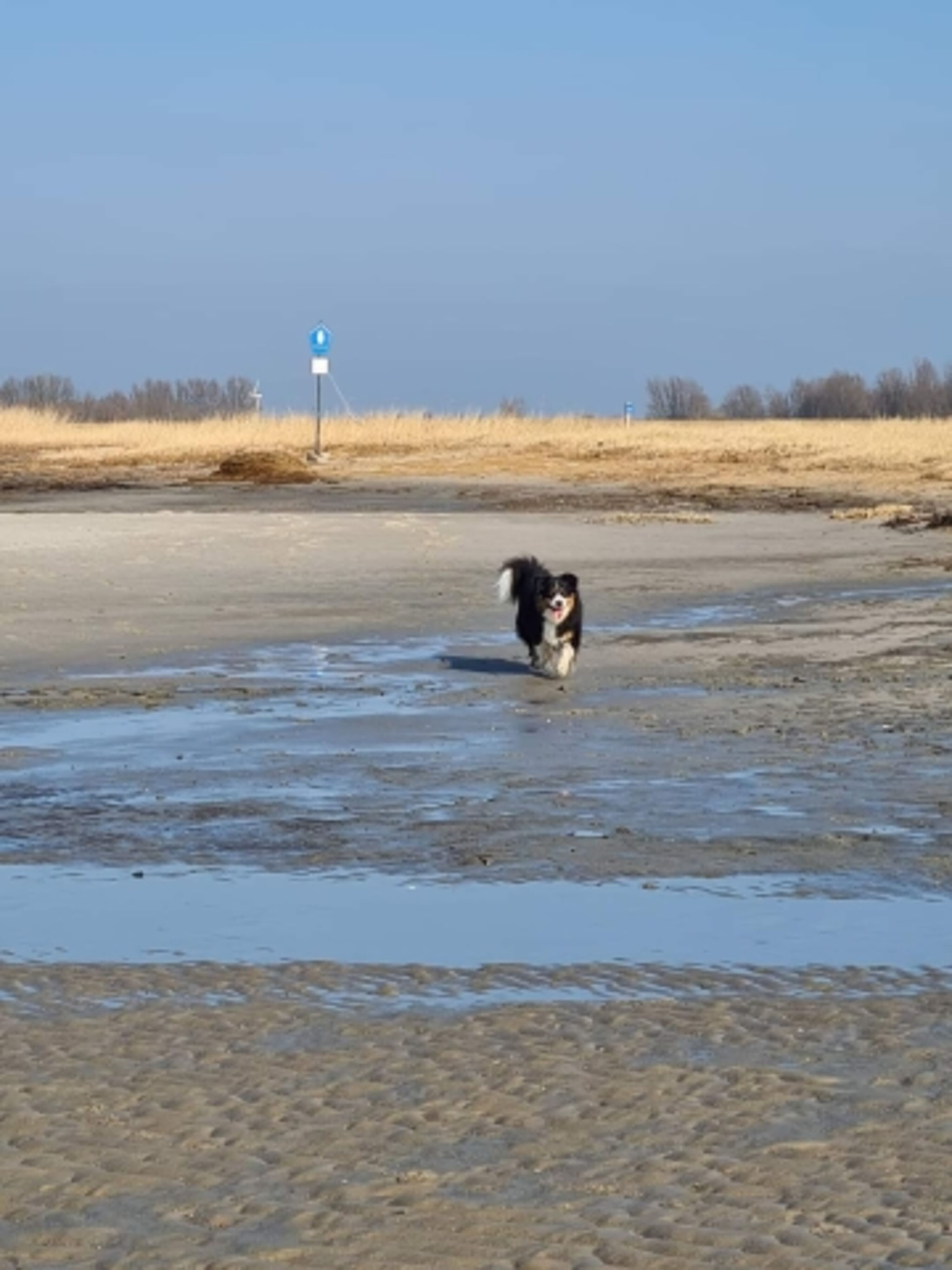 Naturstrand an der Knock