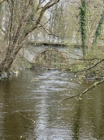 Der angrenzende Fluss