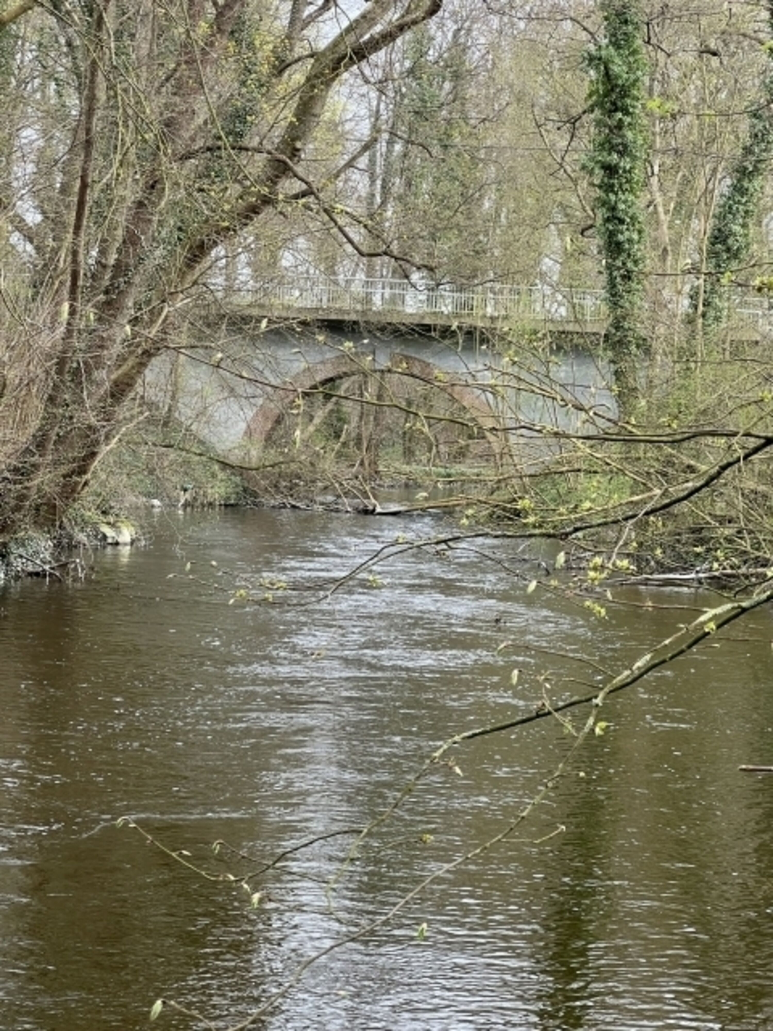 Der angrenzende Fluss