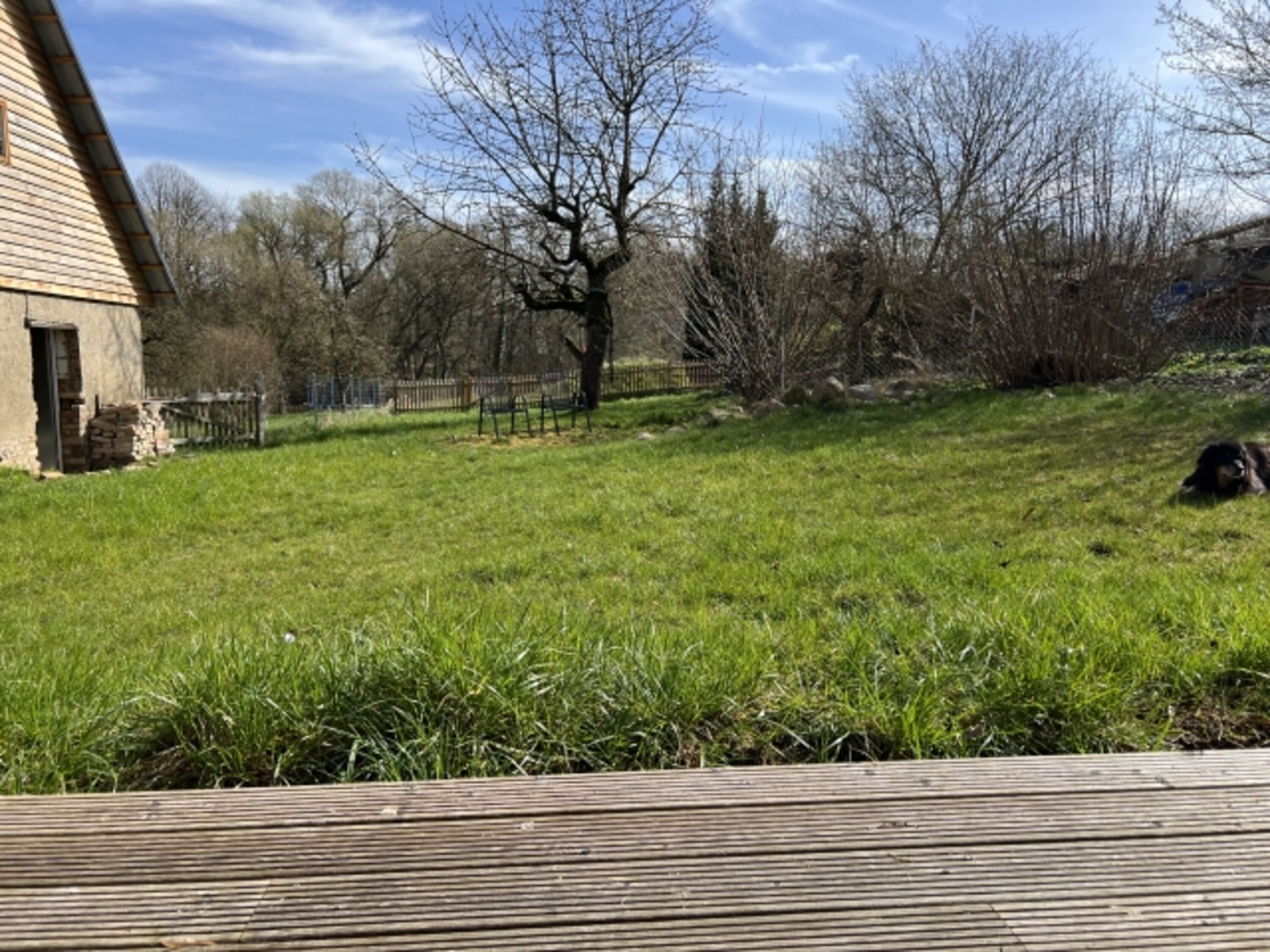 Blick in den Garten