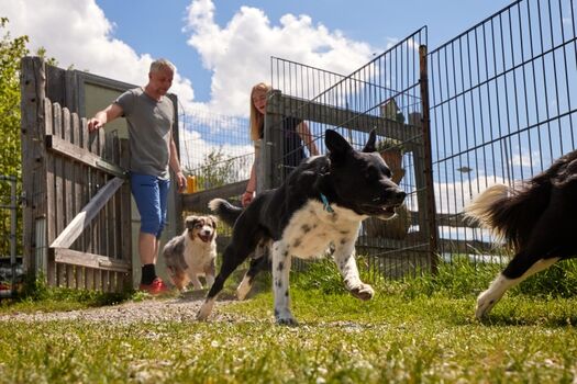 Unser DogCenter