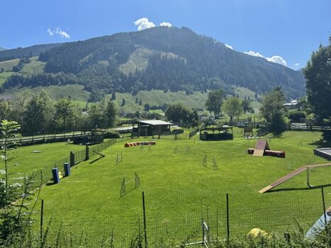 450 Quadratmeter Hundeplatz