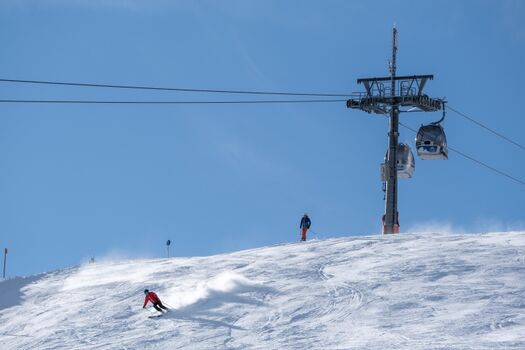 Skifahren und die Hunde beim kostenlosen DogSitting