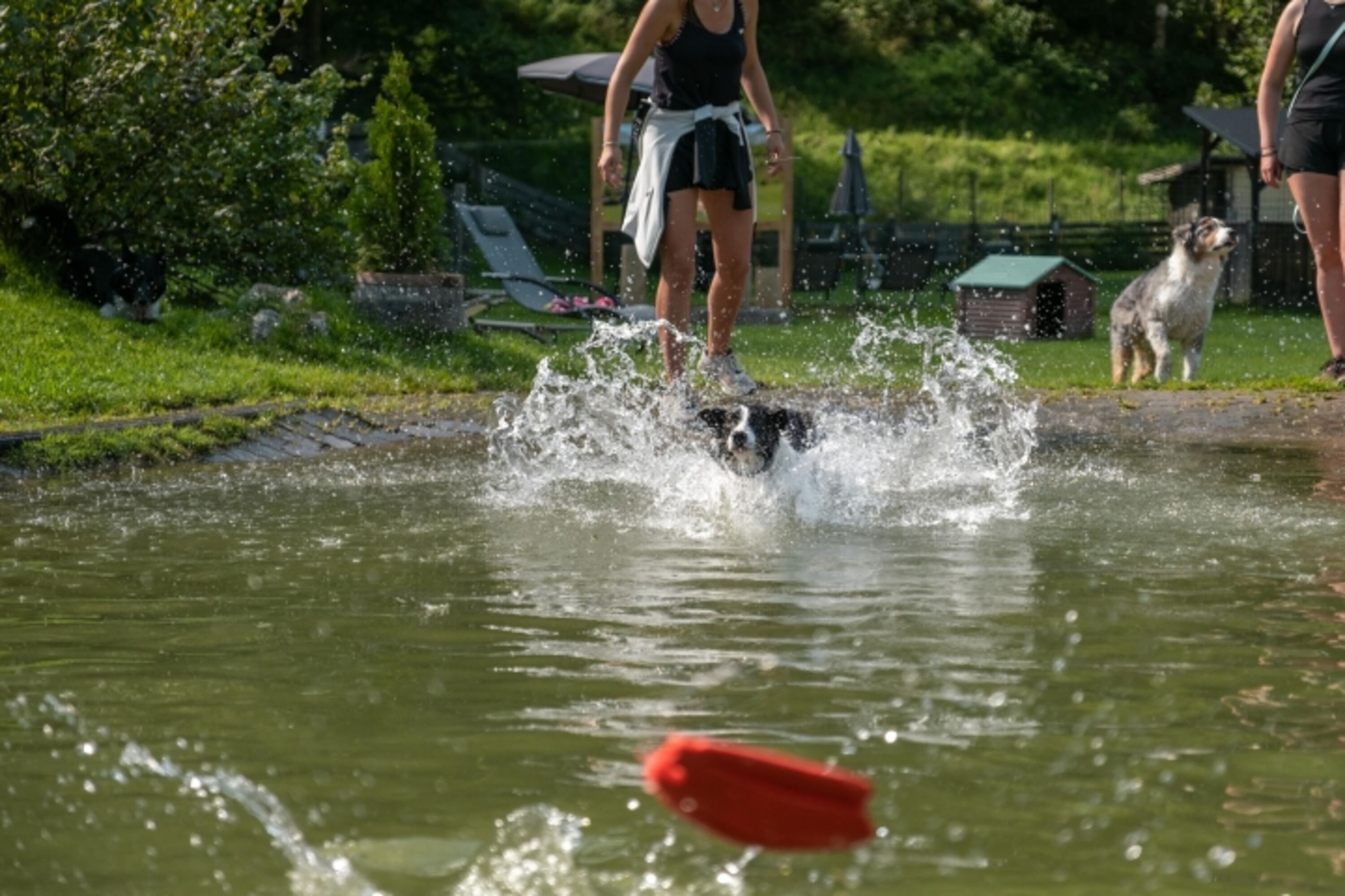 Sommerfrische