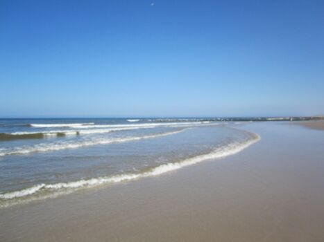 Kilometerlanger Top Strand Hundestrand