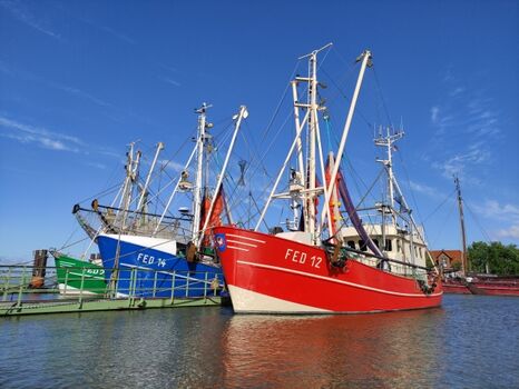 Kutter im Hafen von Fedderwardersiel