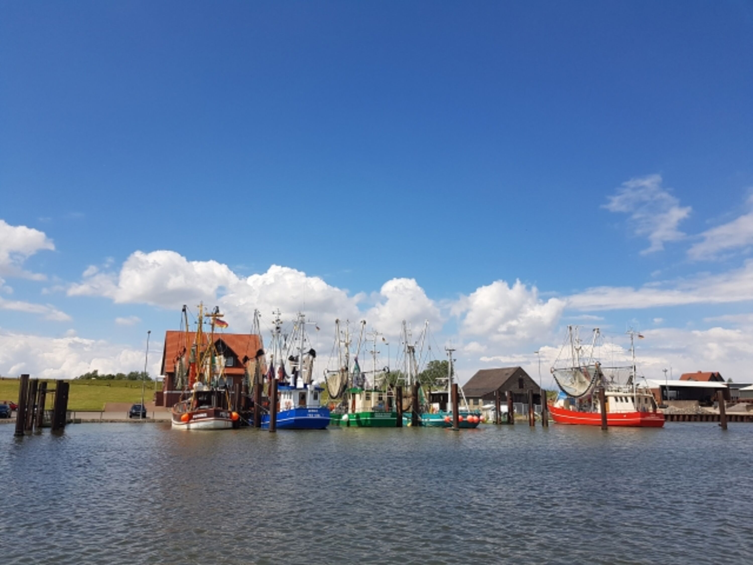 Hafen Fedderwardersiel