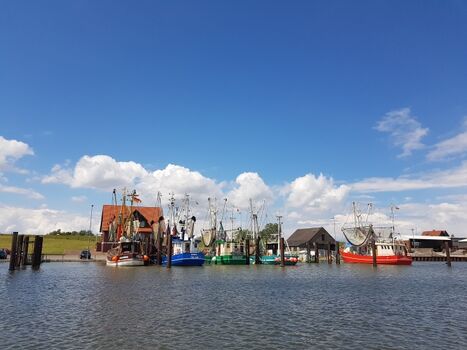 Hafen in Fedderwardersiel