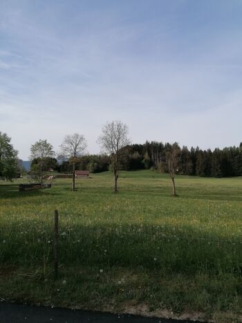 Blick Direkt vor der Tür 