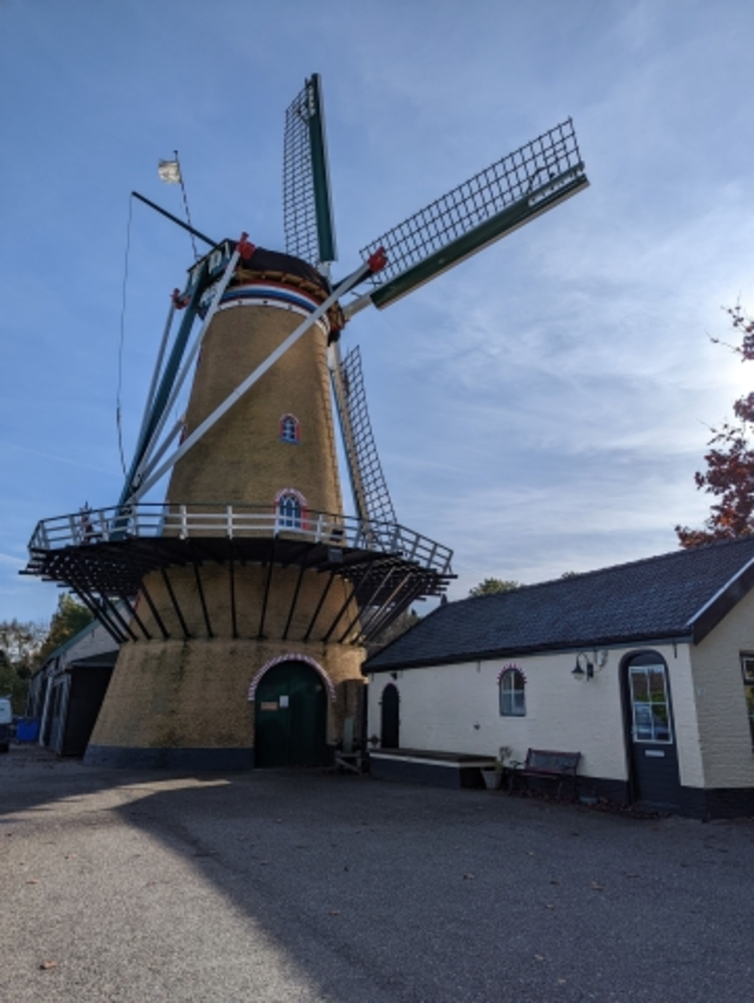 Bild 16