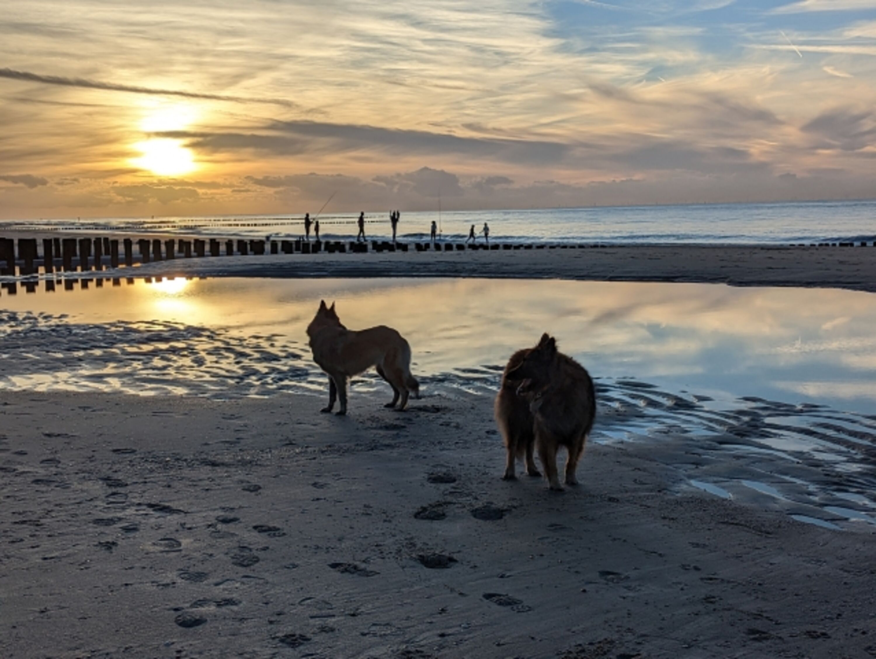Bild 19