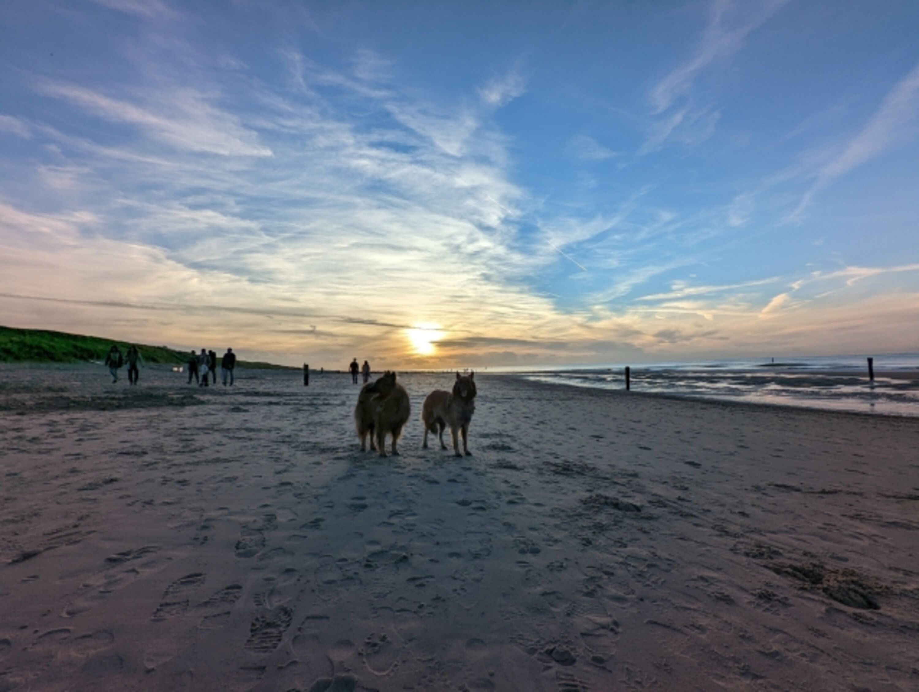Bild 18
