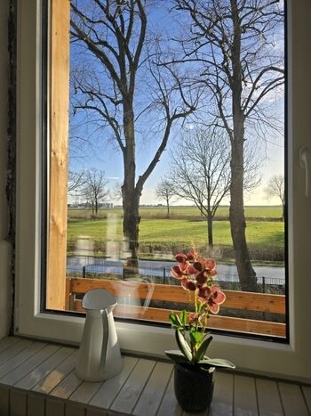 Blick aus dem Küchenfenster auf den Elbdeich