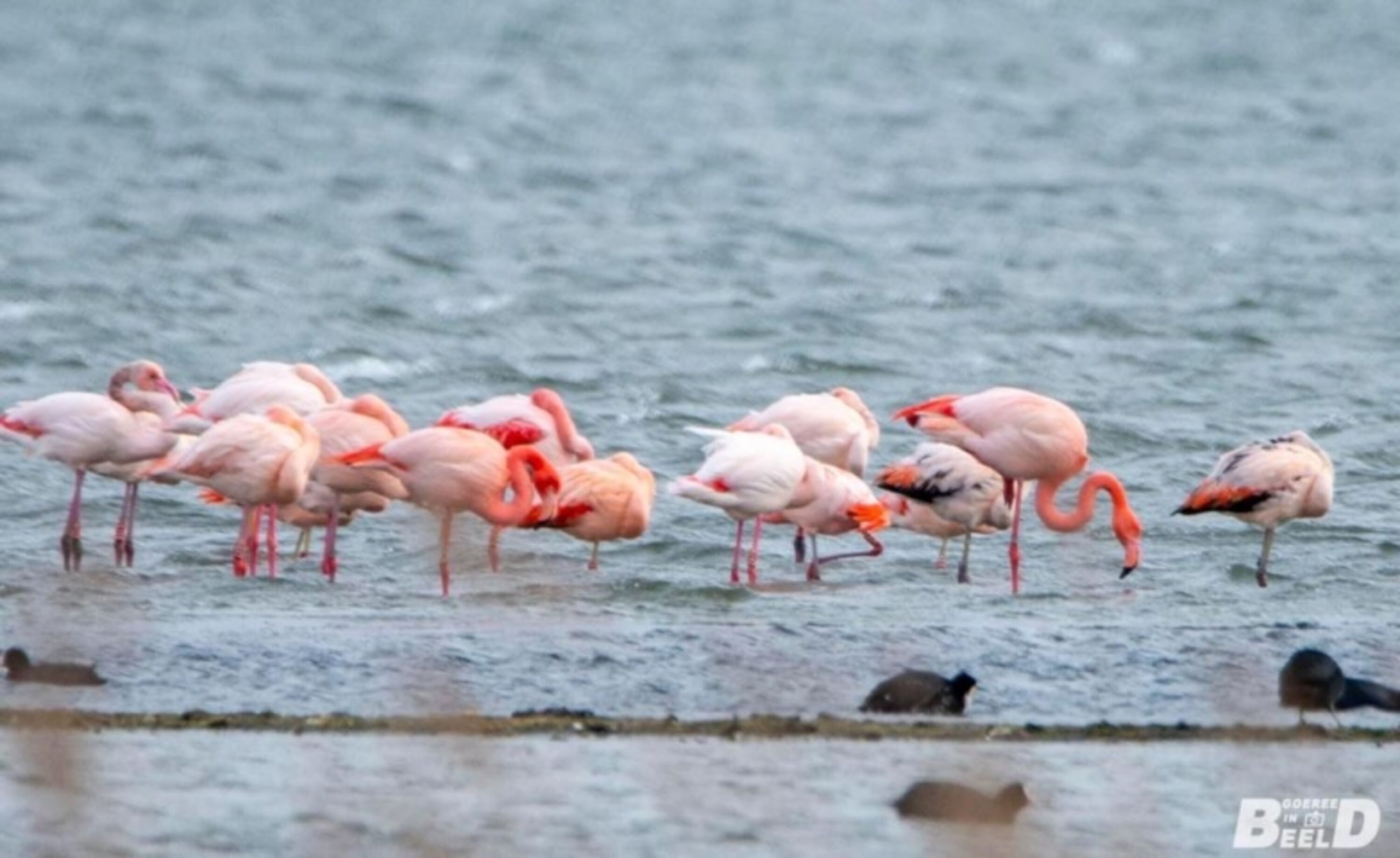 Bild 21