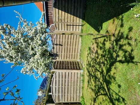 Garten mit Apfelbaum