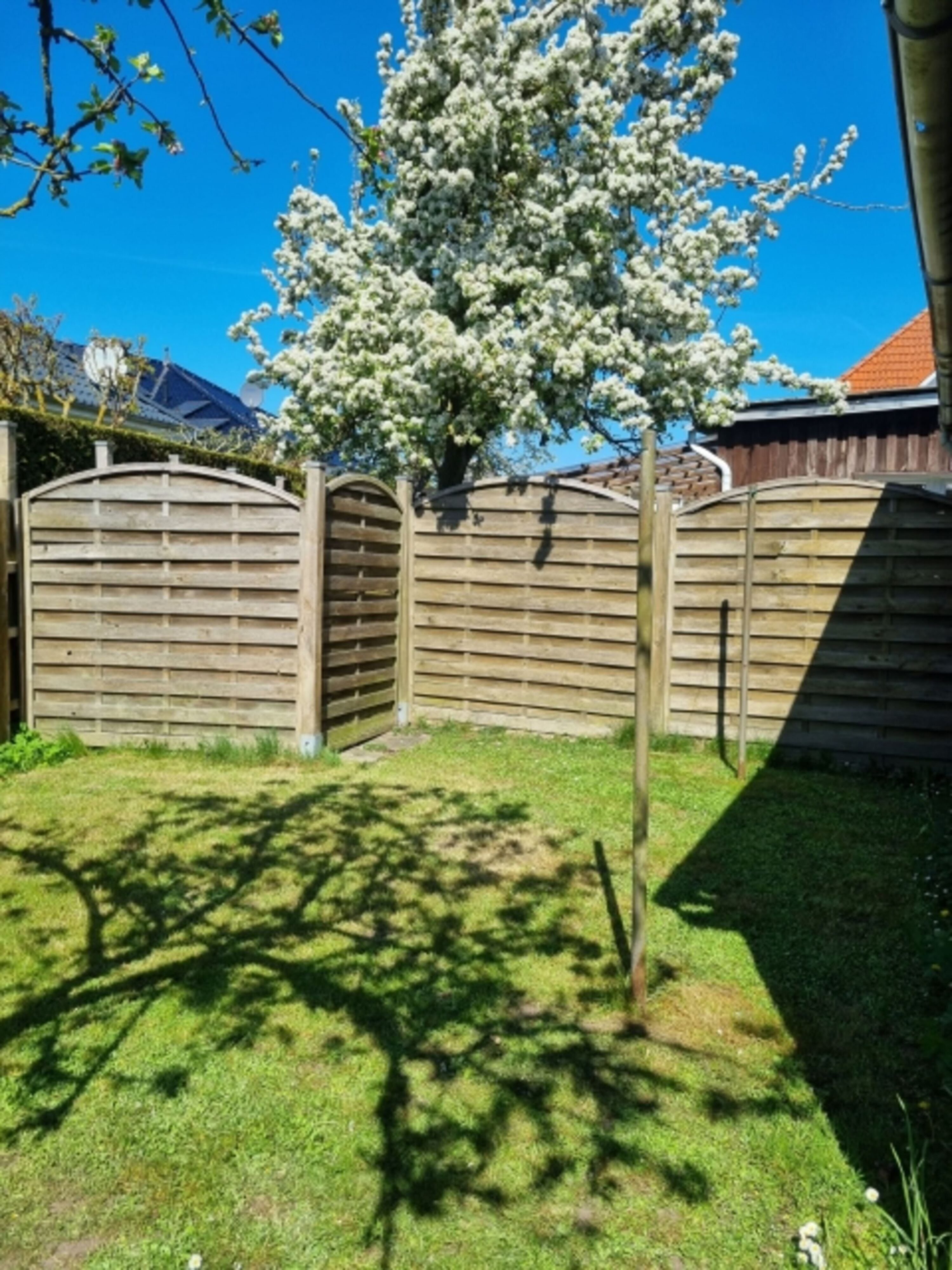Garten mit Apfelbaum