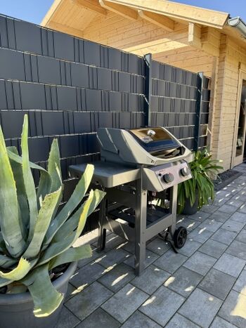 Weber-Grill