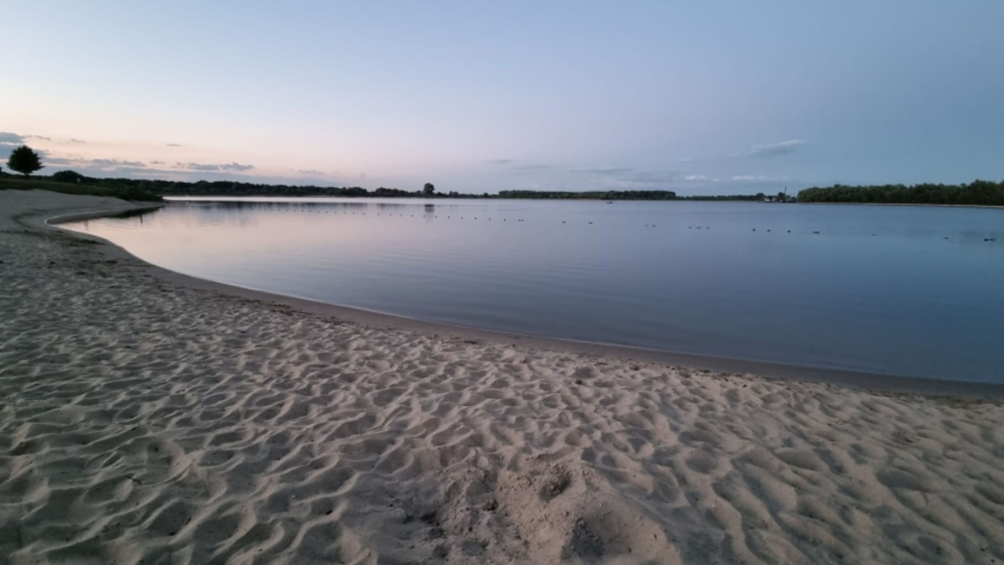 Hundestrand