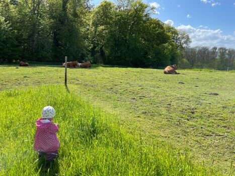 Landwirtschaft Lasserg