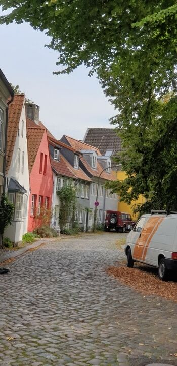 die nähere Umgebung