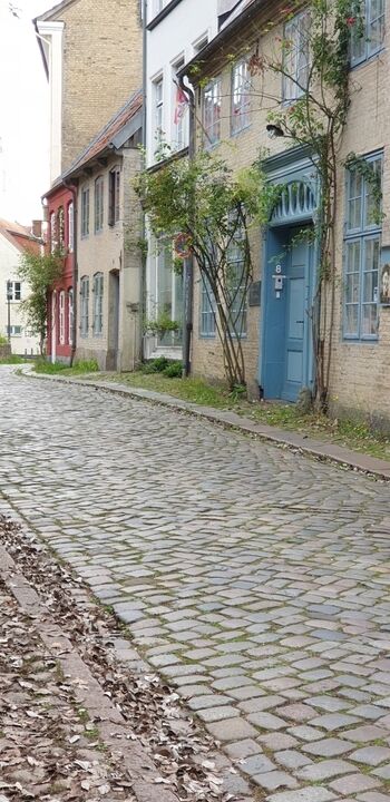 die nähere Umgebung