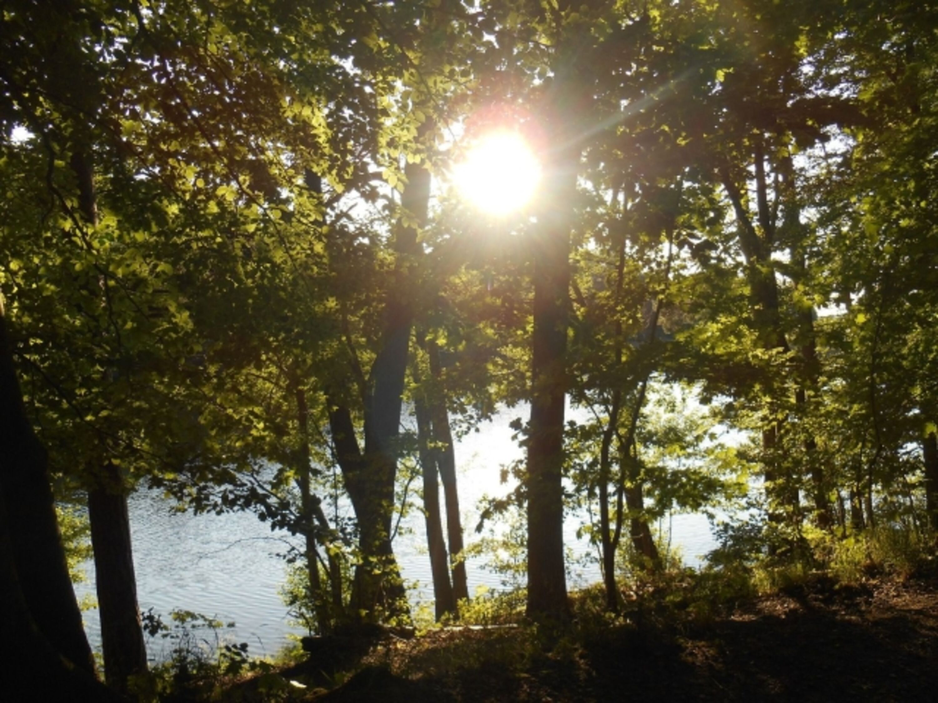 Abendspaziergang um den Osterteich