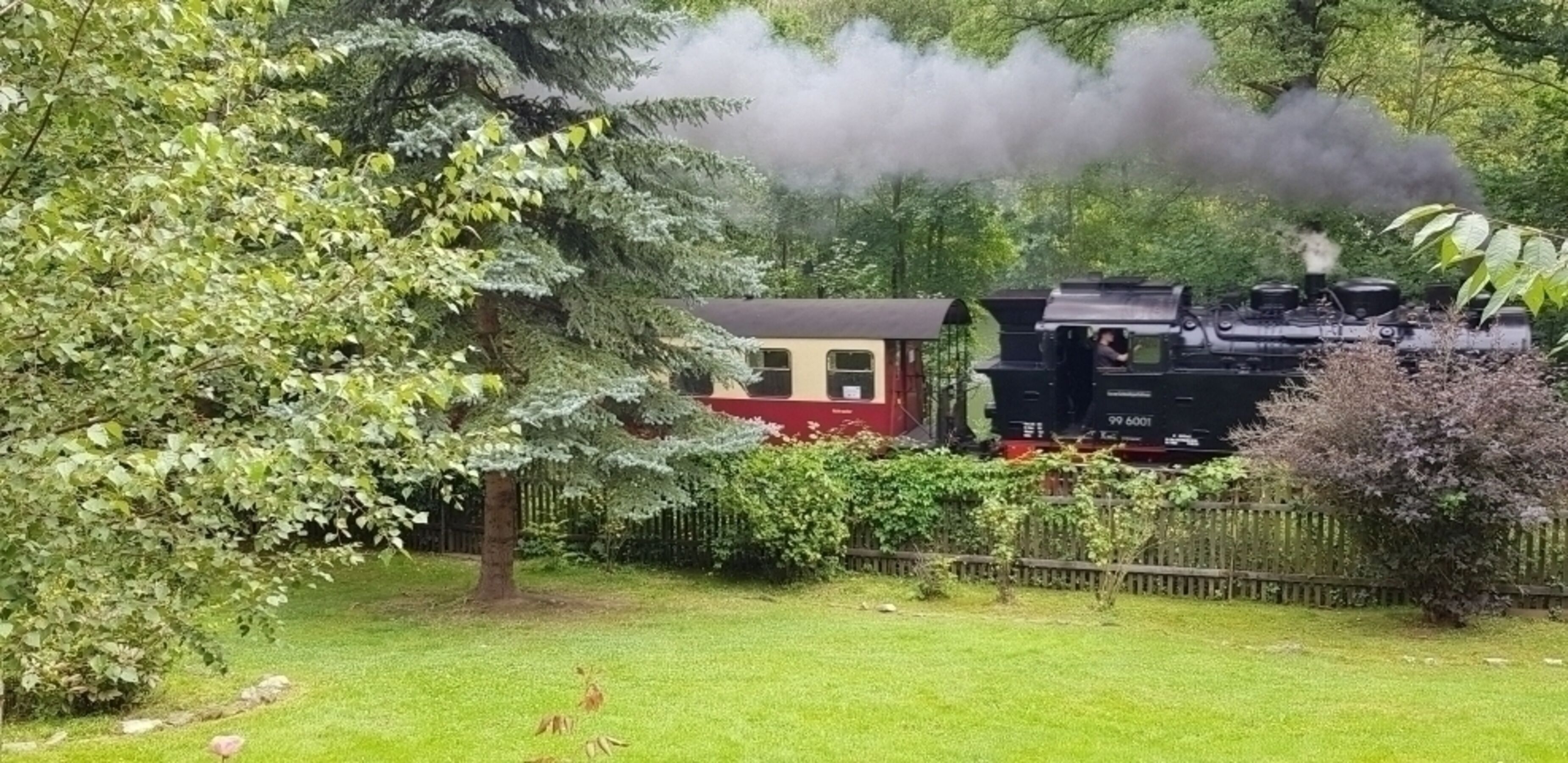 Die Dampflok fährt bis zum Brocken