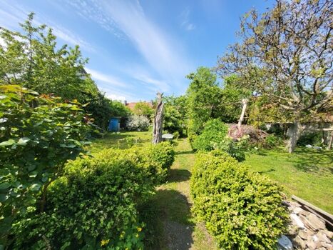 1.200qm Garten für Sie und Ihre Fellnase(n)