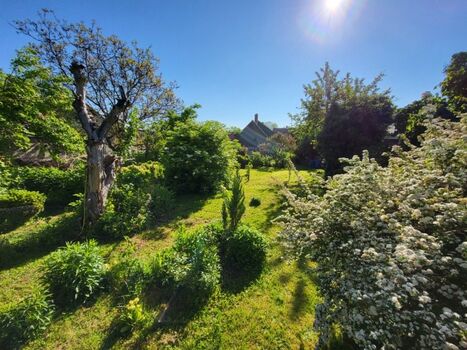 Ihr großer Garten mit Zugang zum Schlosspark