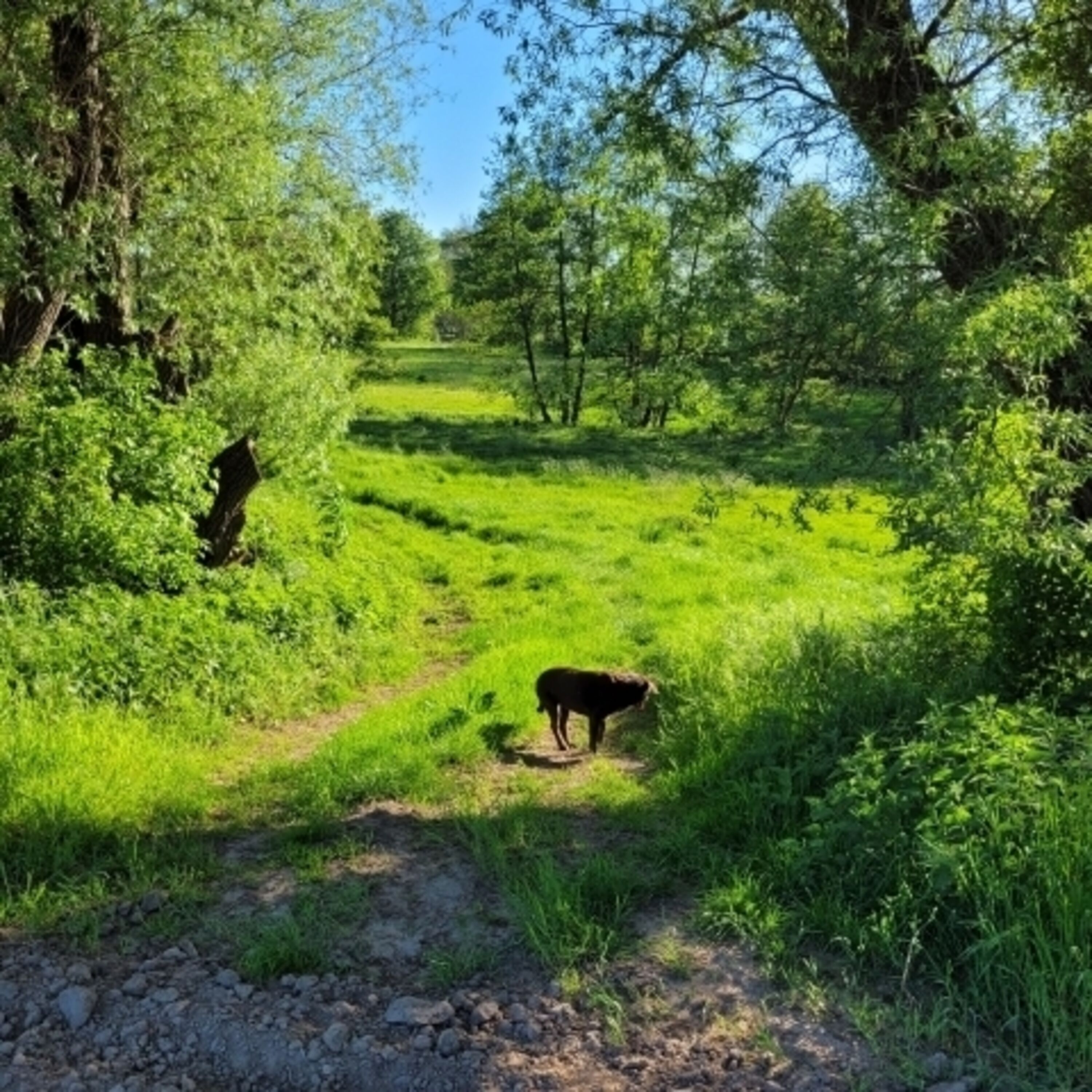 Glashagen Umgebung