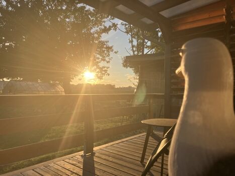 Sonnenuntergang von der Veranda