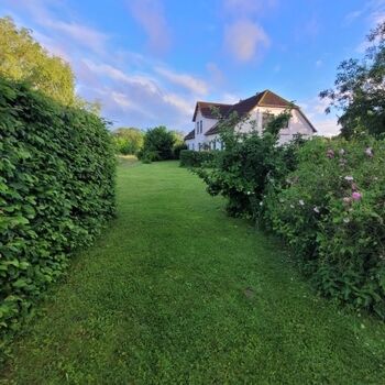 Blick vom Garten aufs Haus 